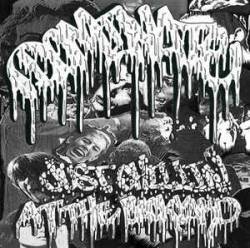 Dominate (JAP) : Just Chillin' at the Backyard